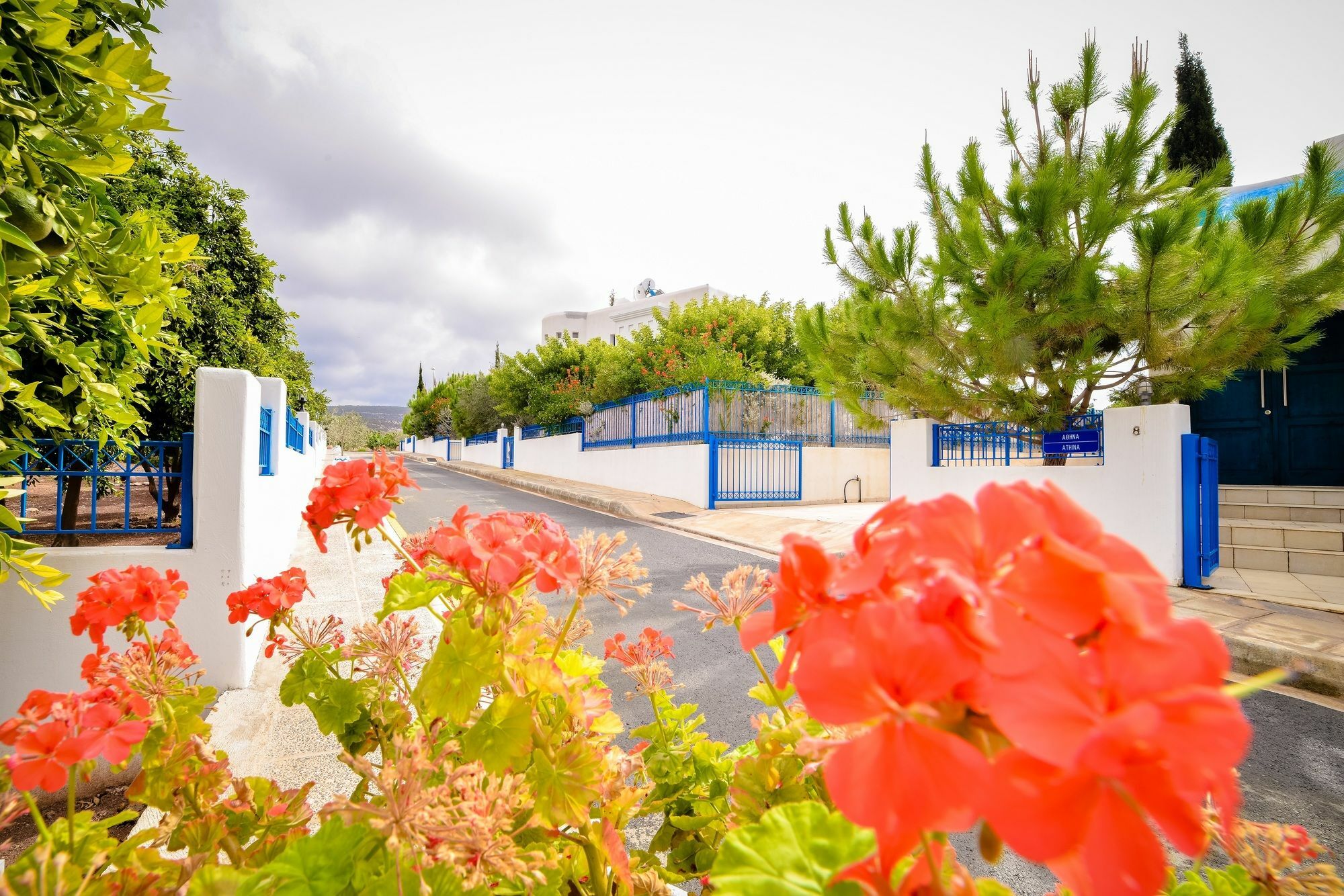Sanders Azzurro Paphos Exterior photo